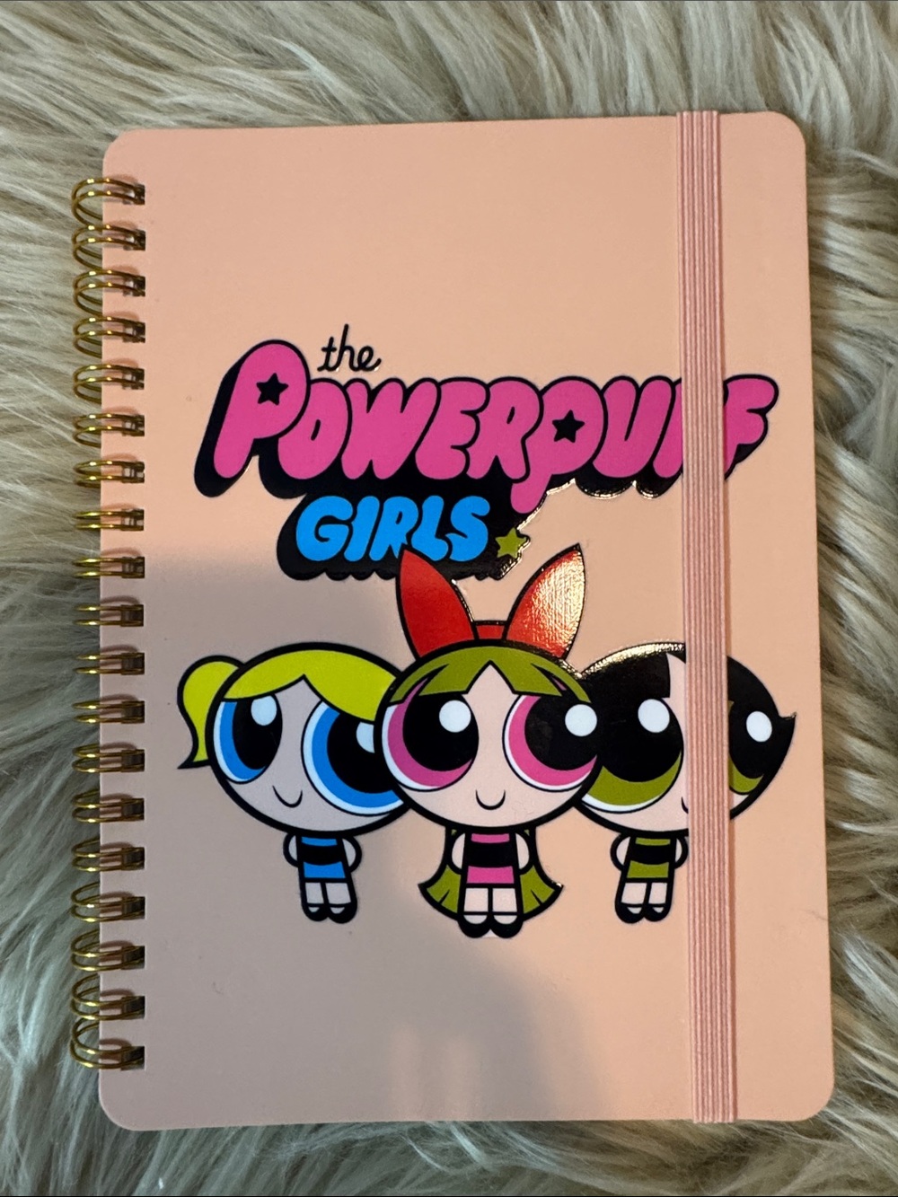 The Powerpuff Girls Pink Spiral Notebook